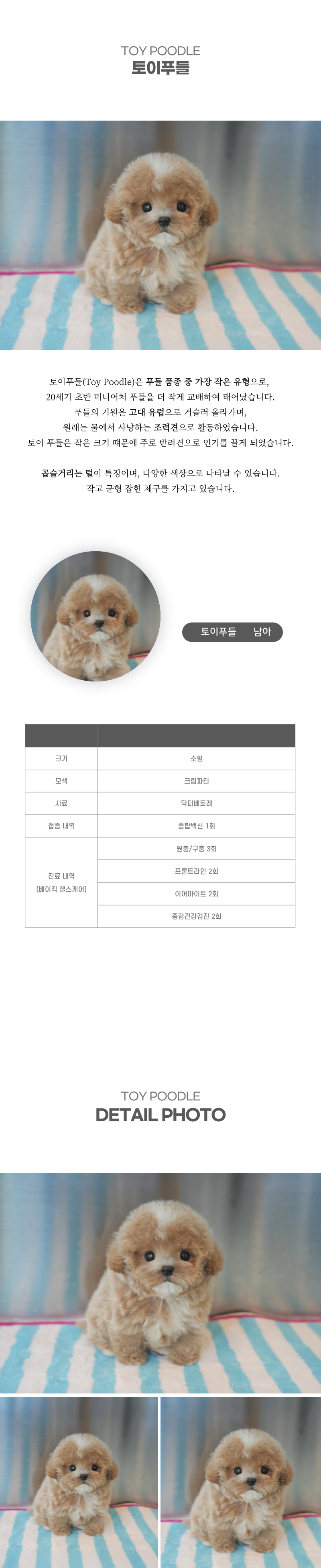 토이푸들_상세이미지_2